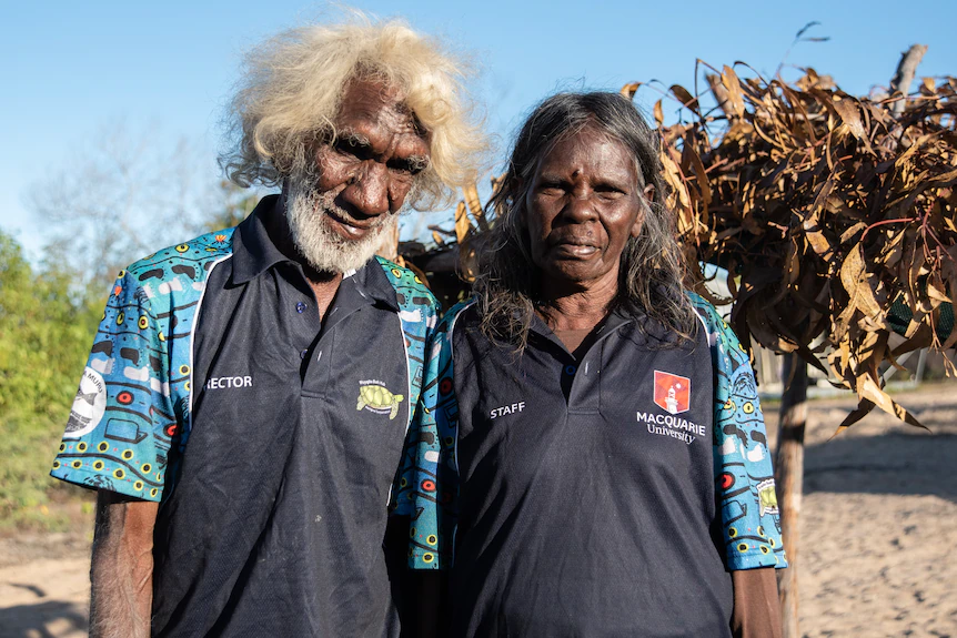 Finding out tradition at Arnhem Land’s bush uni creates pathway to Sydney’s Macquarie College